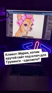 Лучшее, что я видел за сегодня